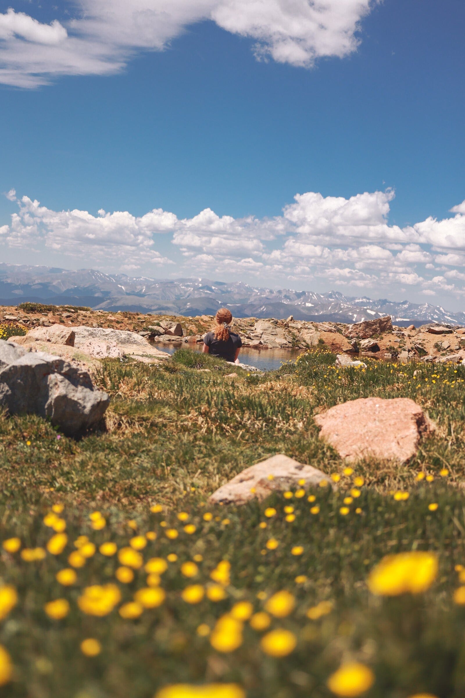 From Root to Radiance: Transitioning from Wood to Fire