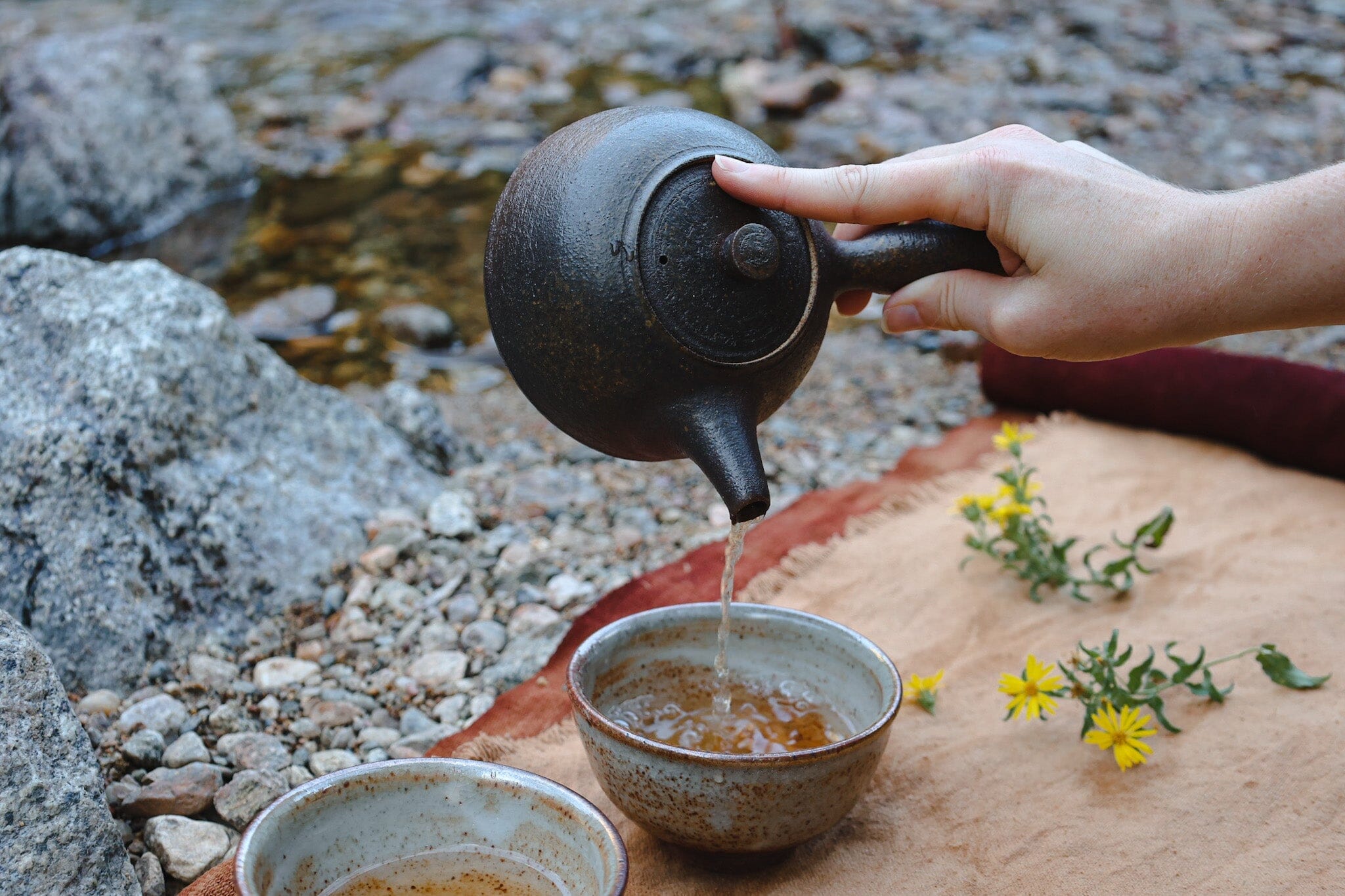 Sowing Seeds of Intention: A Tea Ritual for the Month Ahead