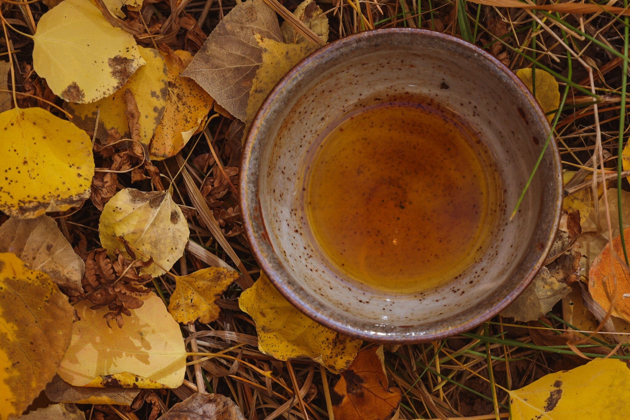 Harvesting Balance: August 2018 Seasonal Tea Club