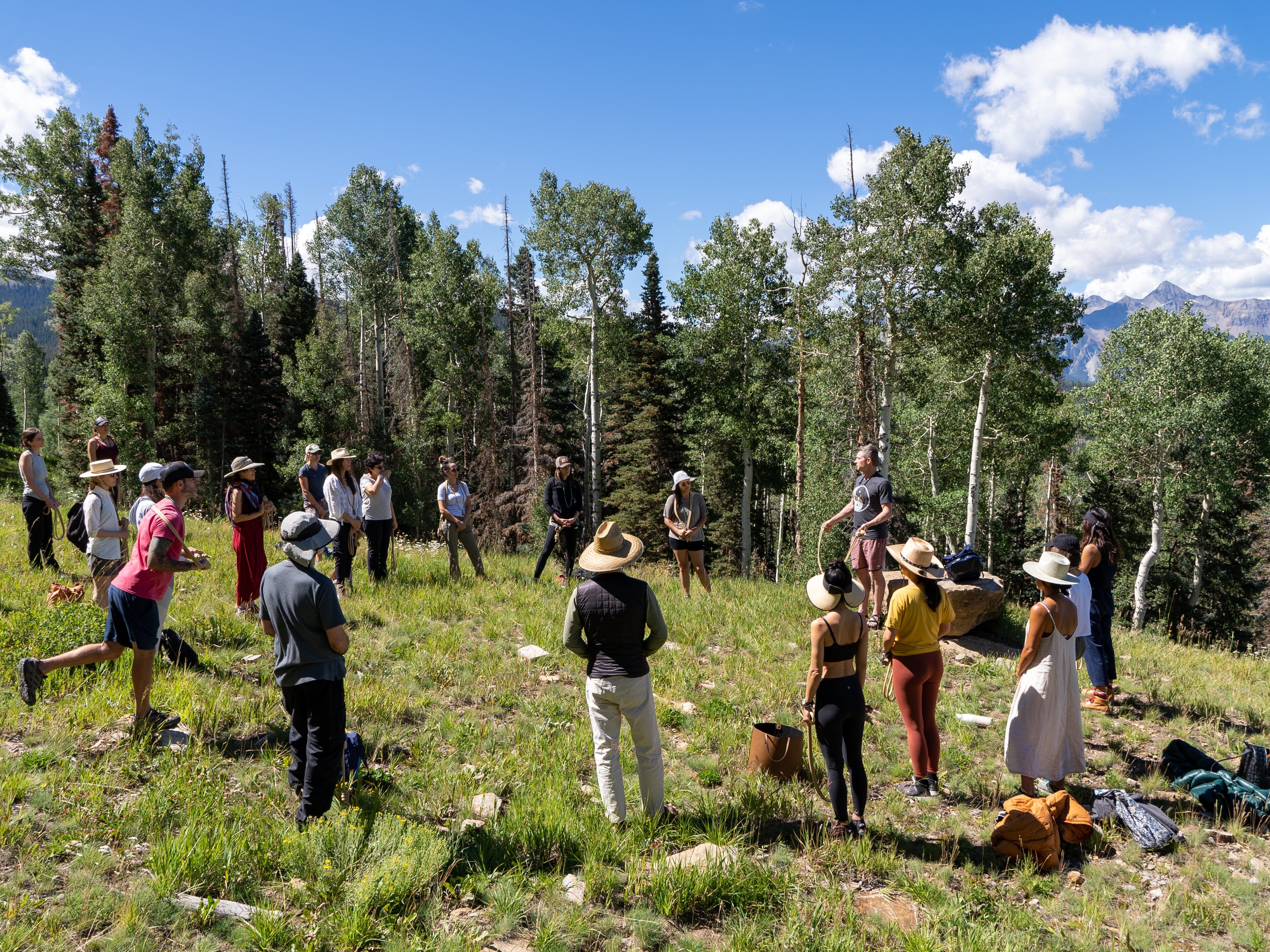 "Restoring our dialogue with Nature" - Seasonal Tea Club Summer 2021