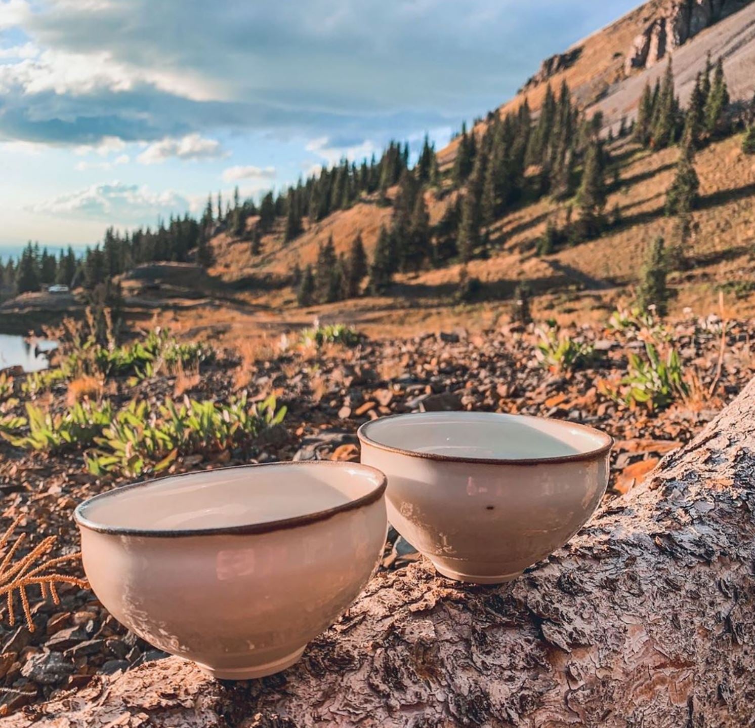 "To drink the wisdom of nature’s great connectors" - Seasonal Tea Club Autumn 2021