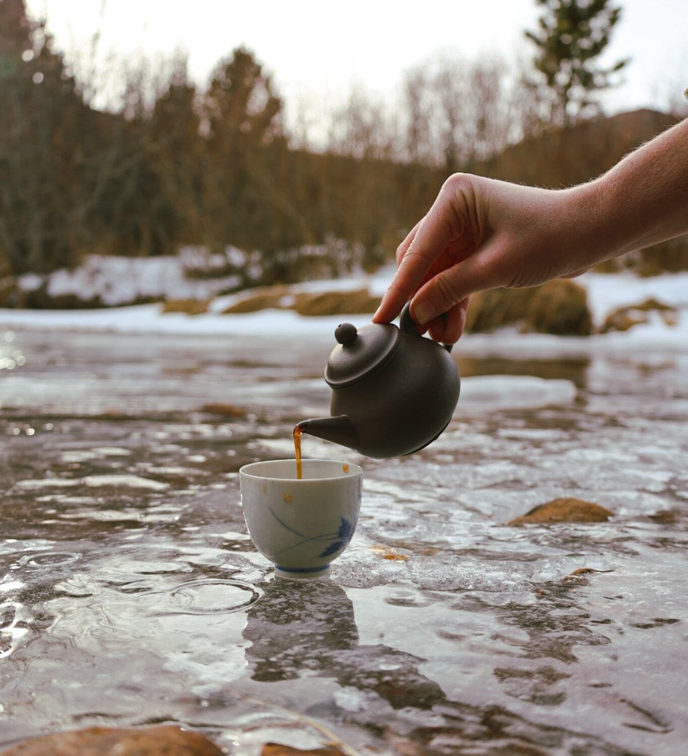 Navigating the Unknown in the Yin Season: Seasonal Tea Club Winter 2023-24