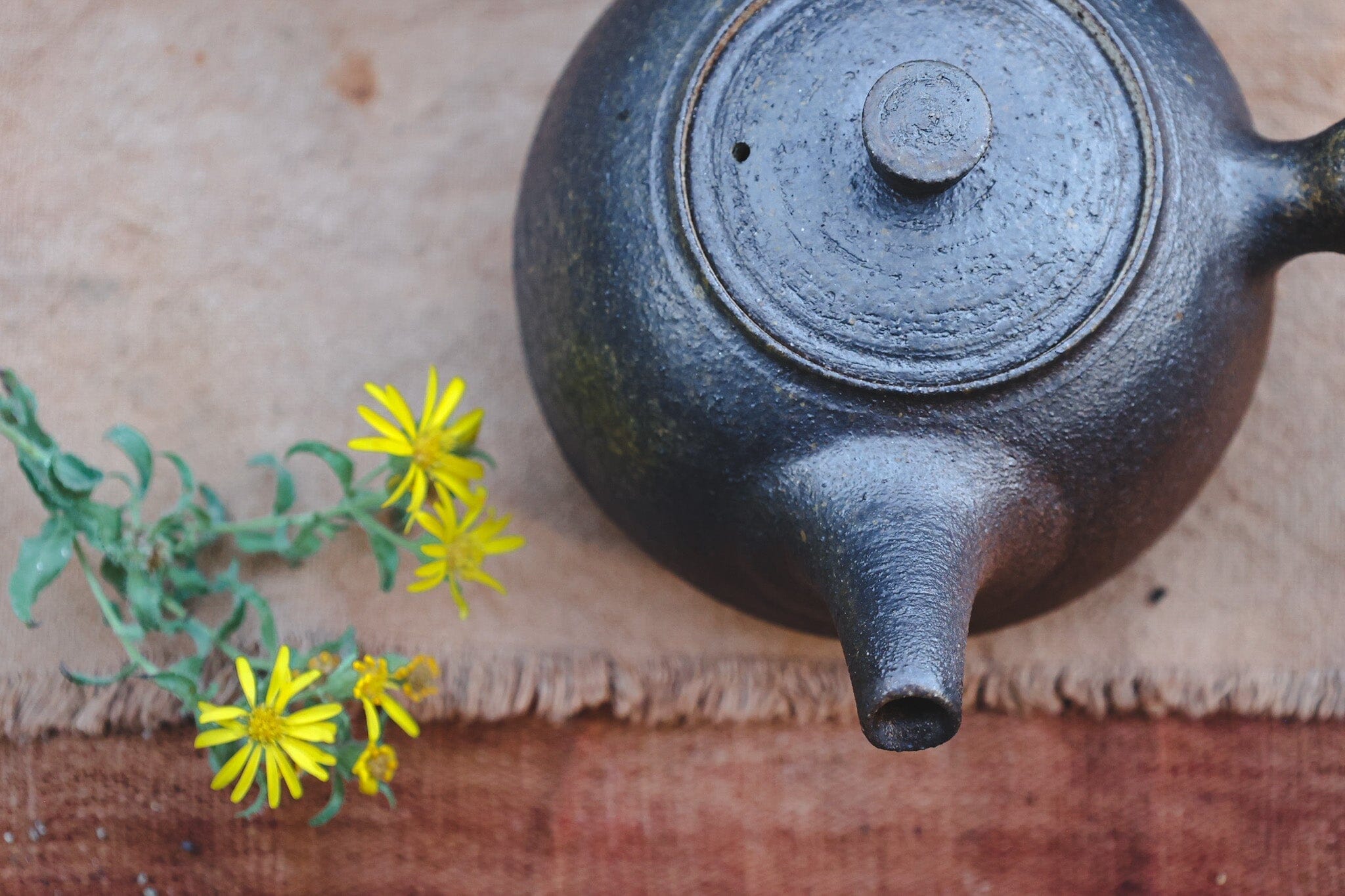 Grounding and Reflection: Settling Into the Tail End of Earth Season