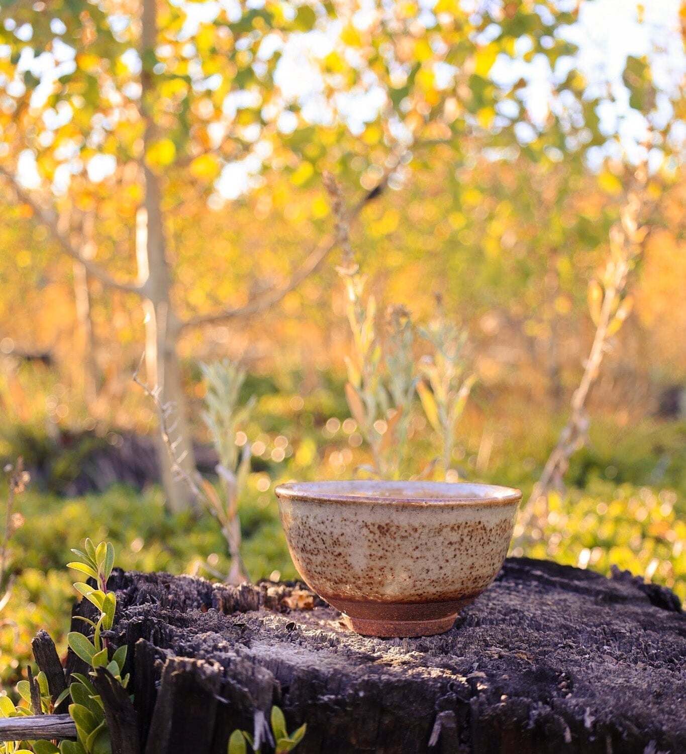 Living in Rhythm with Fire: Seasonal Tea Club Summer 2018