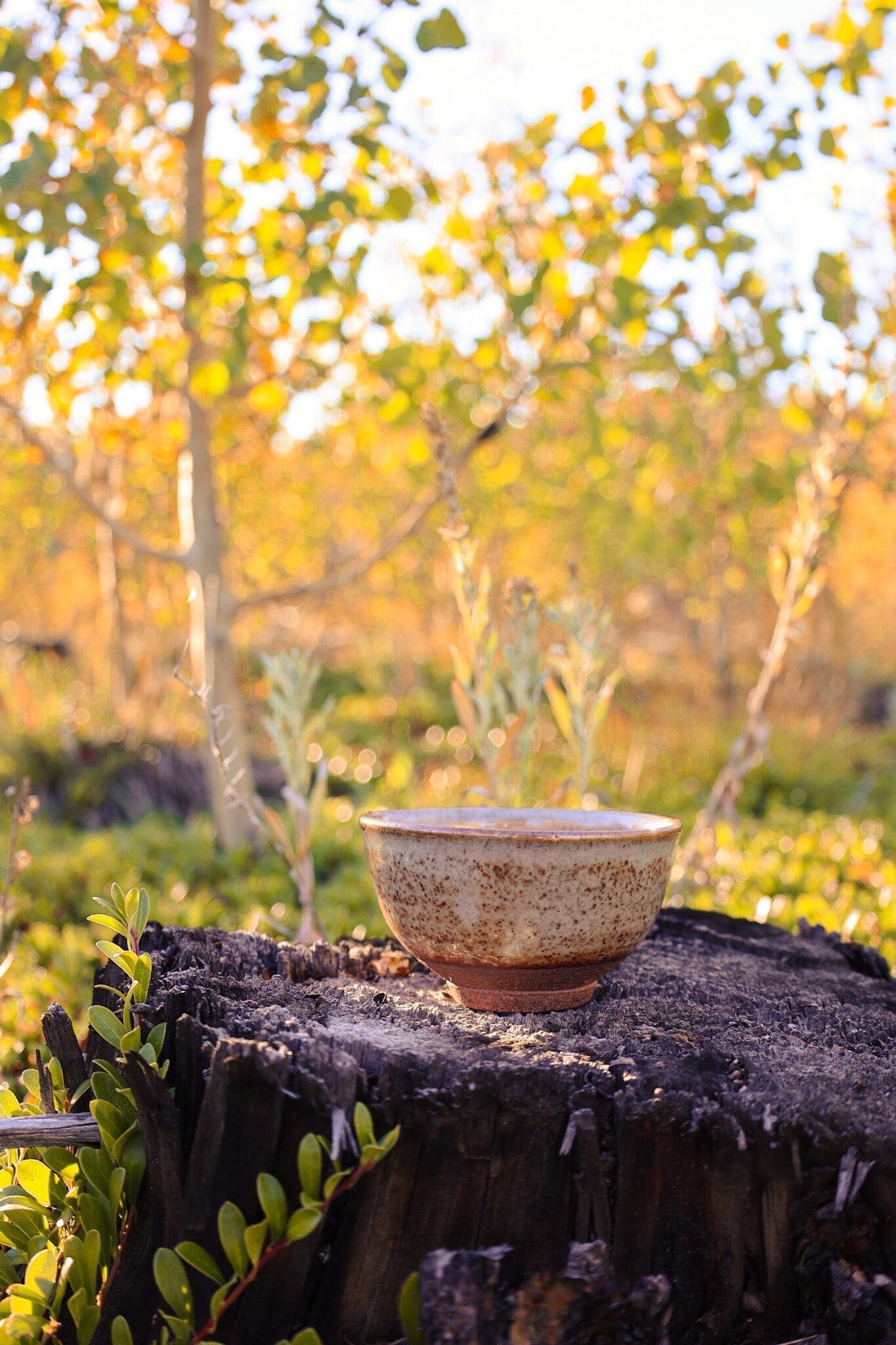 Living in Rhythm with Fire: Seasonal Tea Club Summer 2018