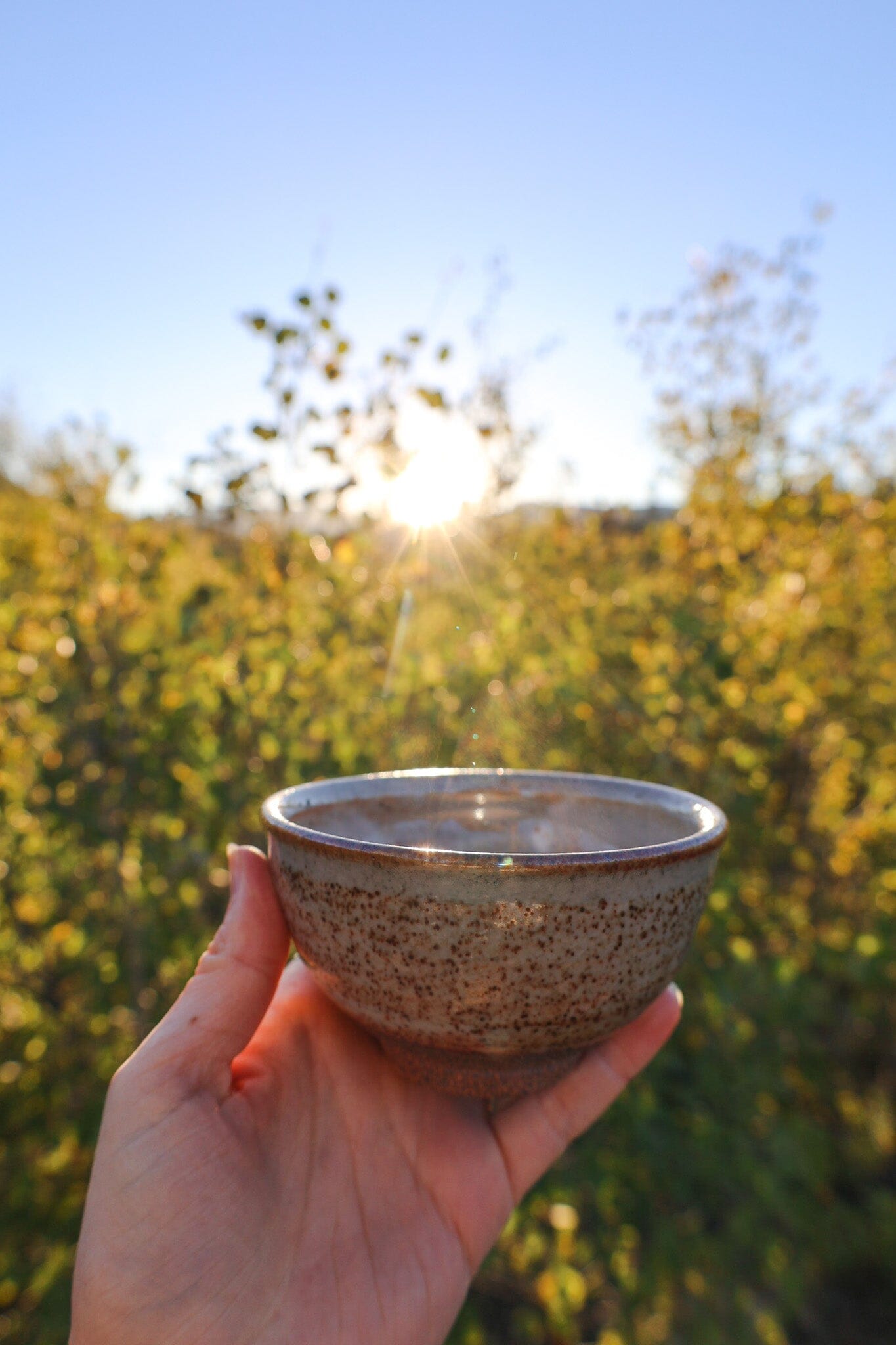 Embracing the Flow of Spring into Summer: Seasonal Tea Club Summer 2019