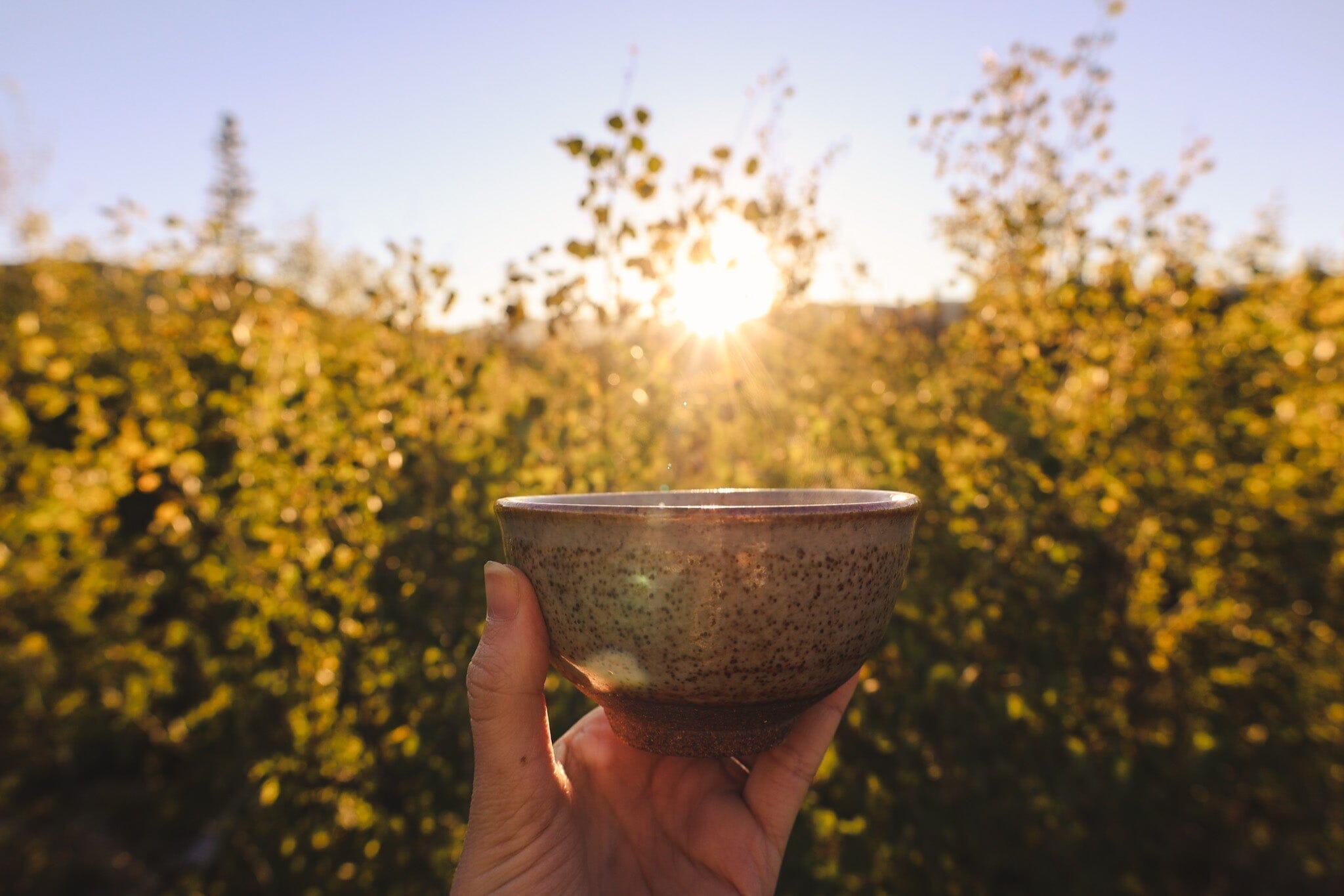 Balancing the Fire Element in Summer: Cultivating the Shen Through Tea, Diet, and Inner Stillness