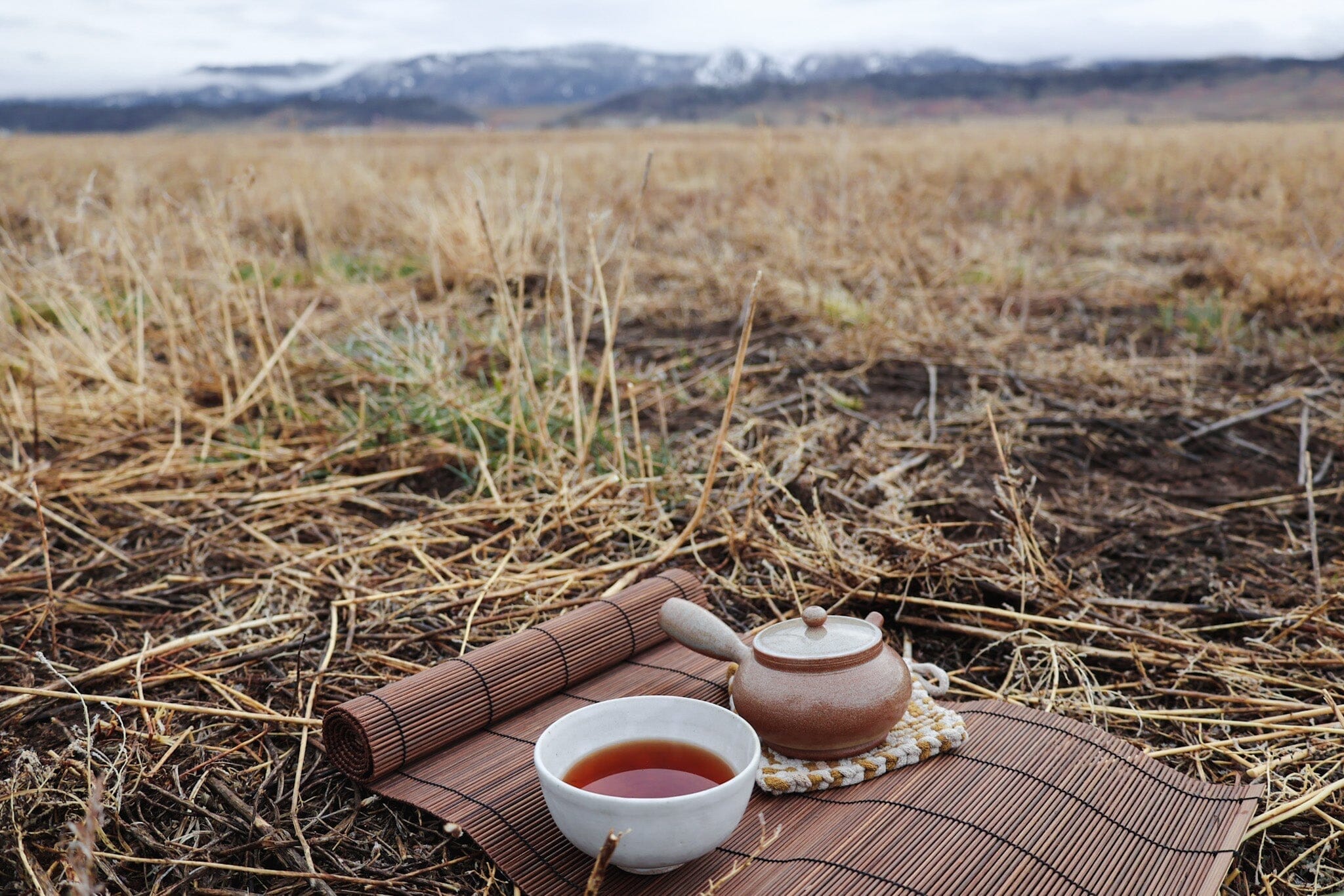 Turning Ever Inward: Early Winter and the Path of Reflection