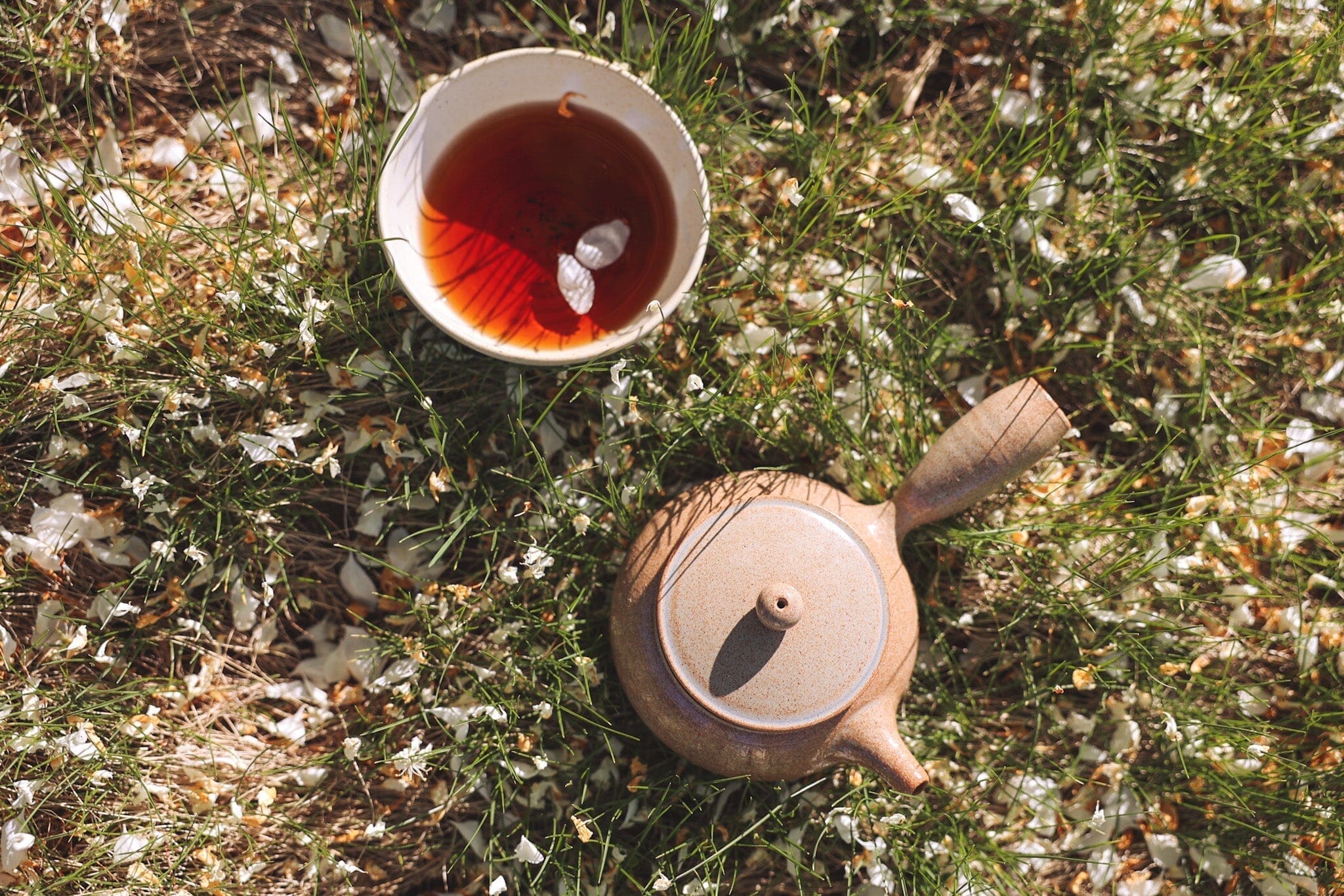 When Wood Stiffens: Rigidity, Flexibility, and the Tea Practice That Grows With You