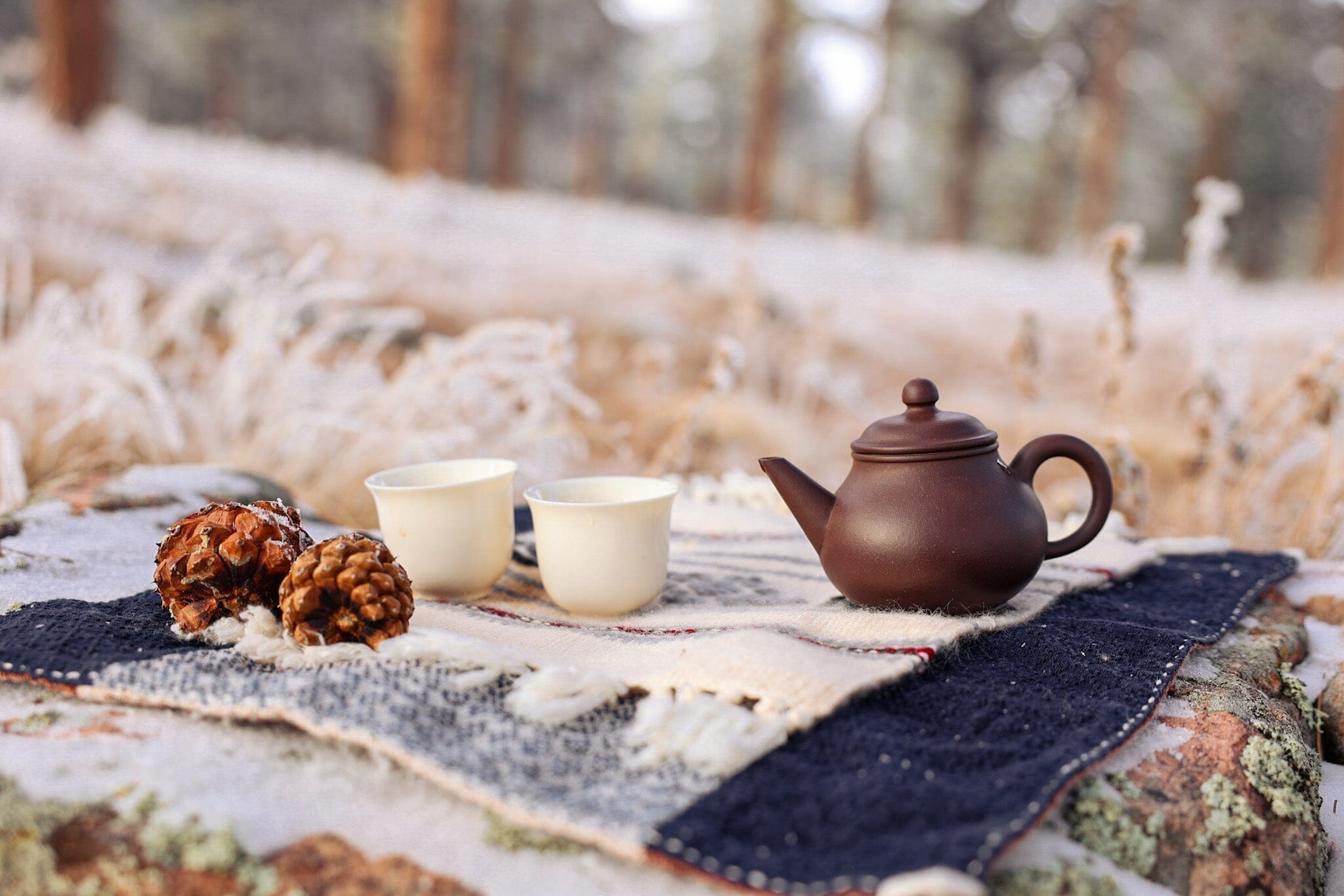 Holding Fast Against the Wind: Winter, Water, and the Wisdom of Being (Seasonal Tea Club Winter 2025)