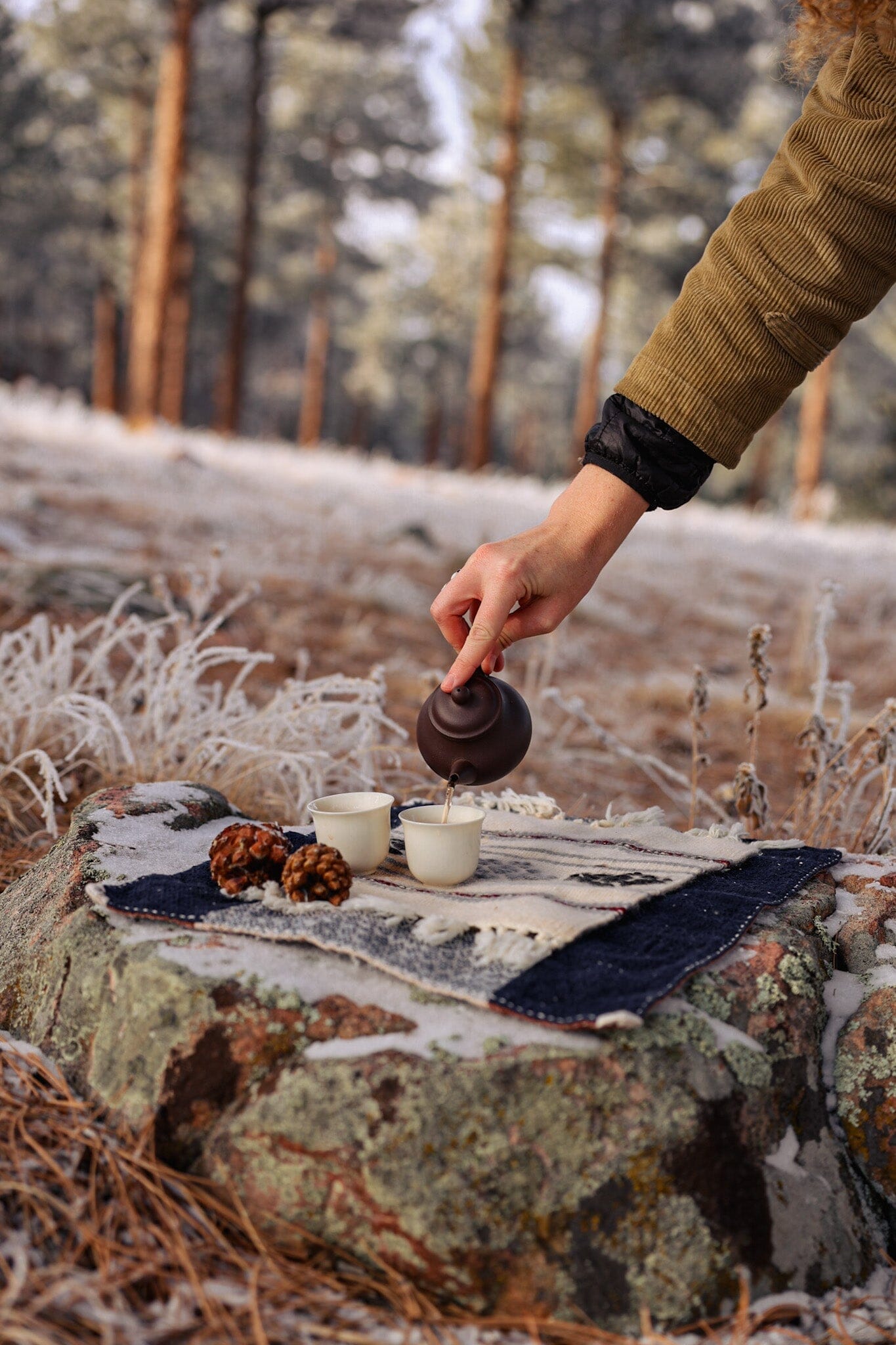 From Stillness to Growth: Tending the Transition