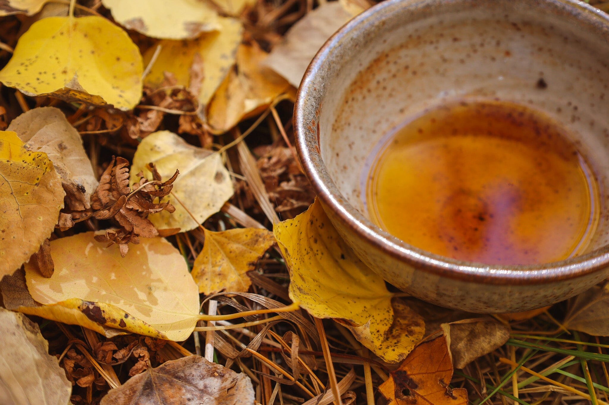 Turning Inward: A Metal Element Ritual for Autumn