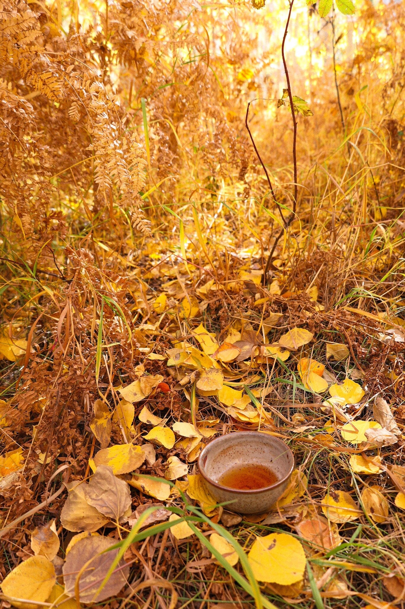 The Season of Integration