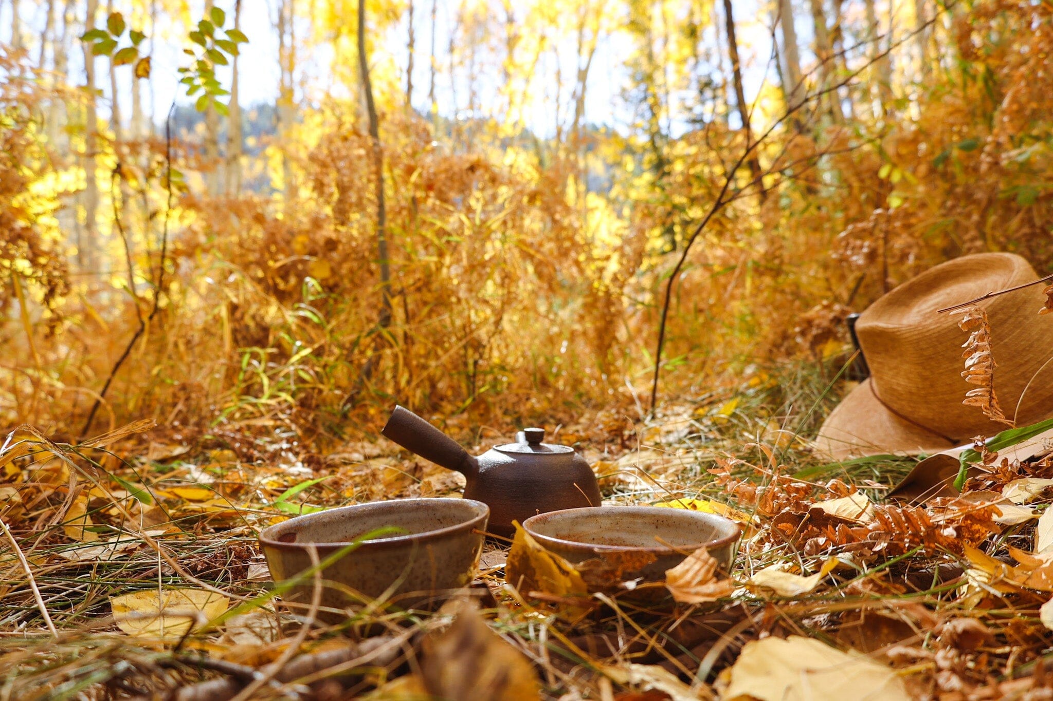 Returning to Presence and Elemental Wisdom: Seasonal Tea Club Autumn 2025