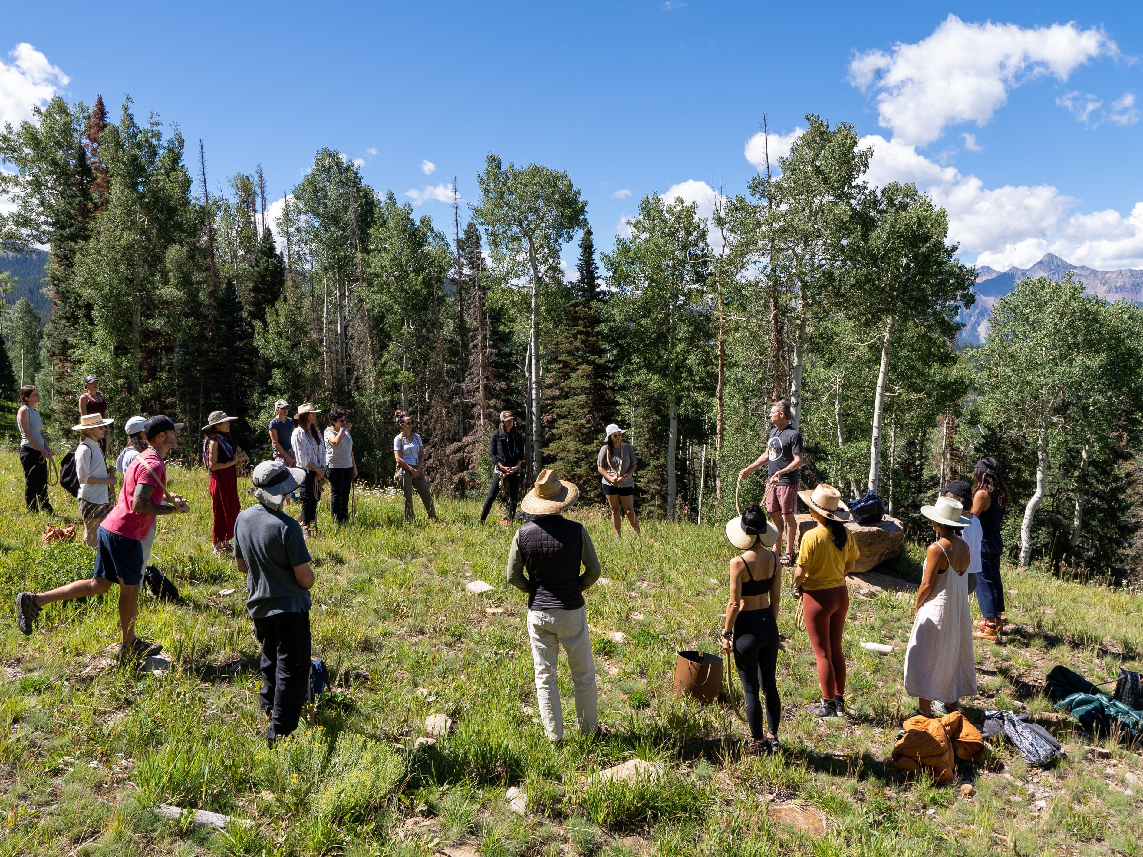 "Restoring our dialogue with Nature" - Seasonal Tea Club Summer 2021
