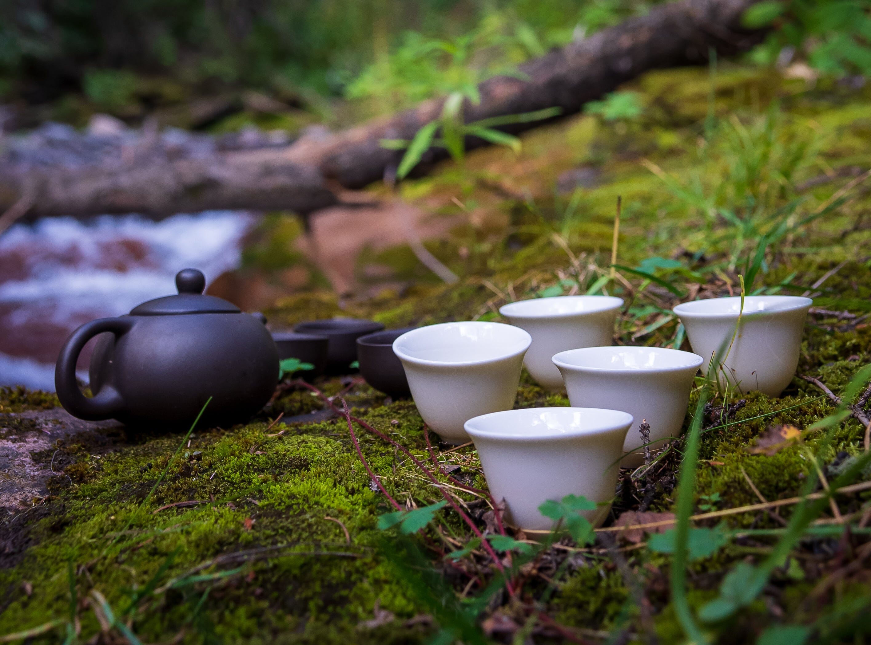 Outward Expansion of the Fire Element: Seasonal Tea Club Summer 2024
