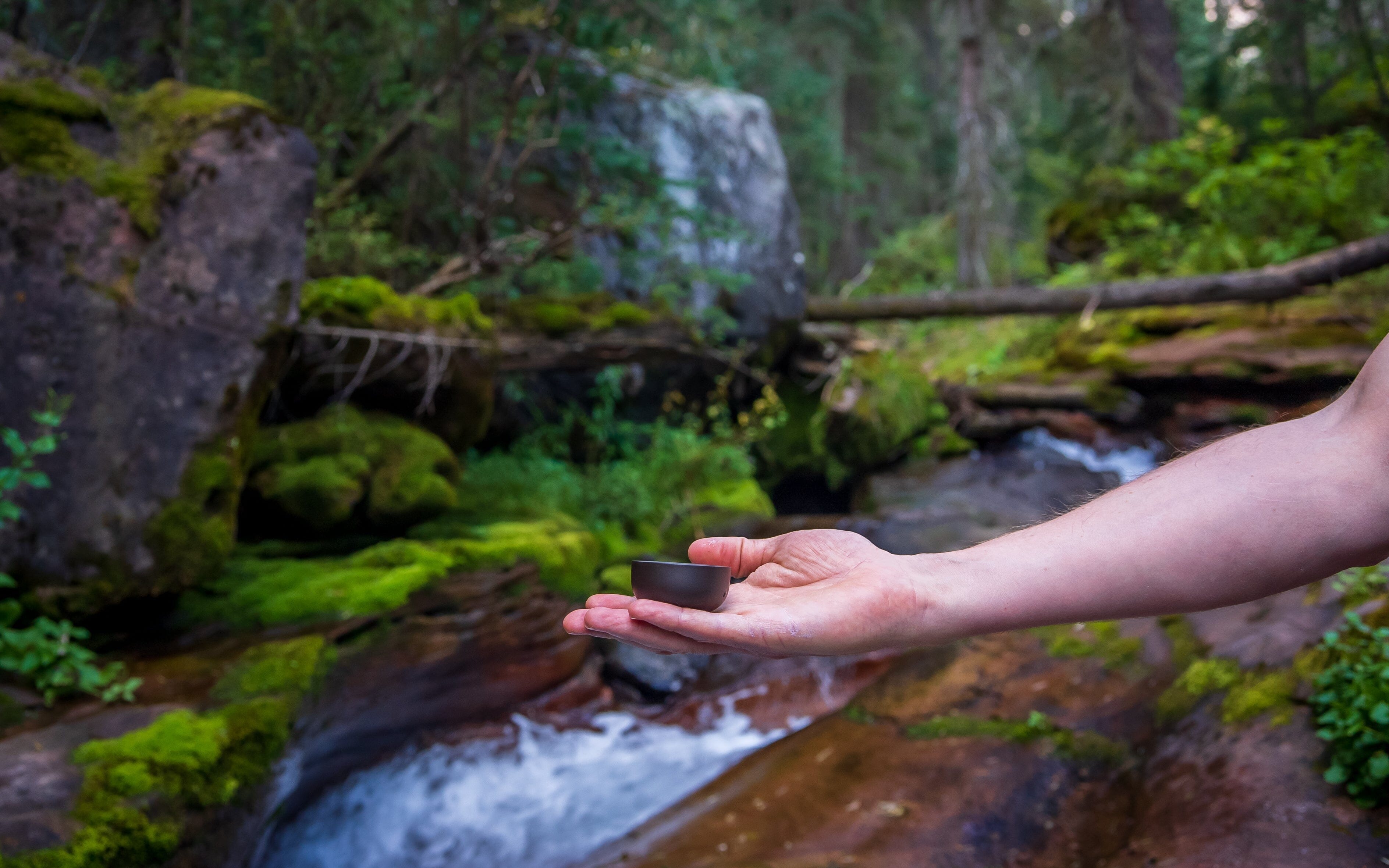 What the Five Elements Are Telling You Right Now