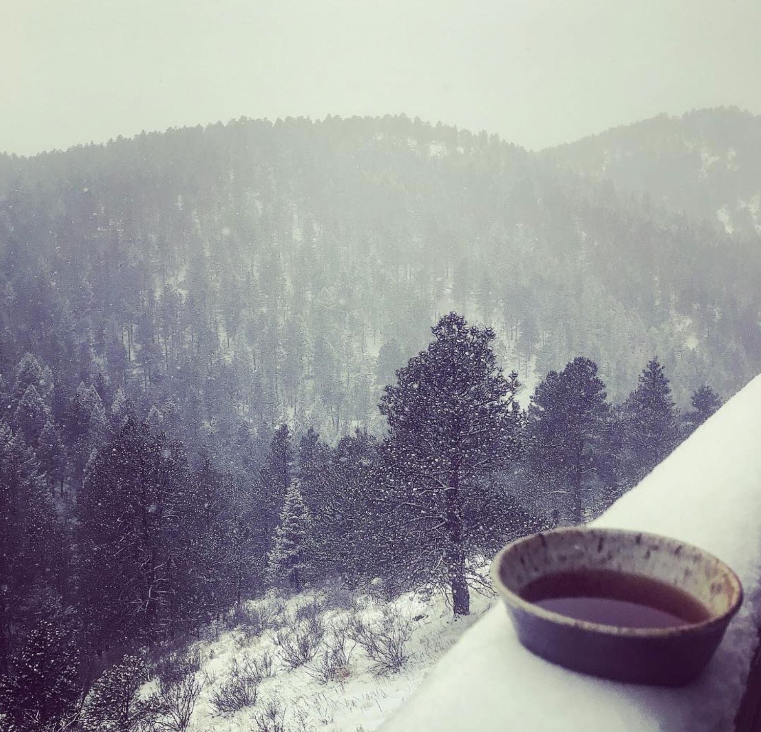 Staying with the Darkness: Lessons from Water and Winter