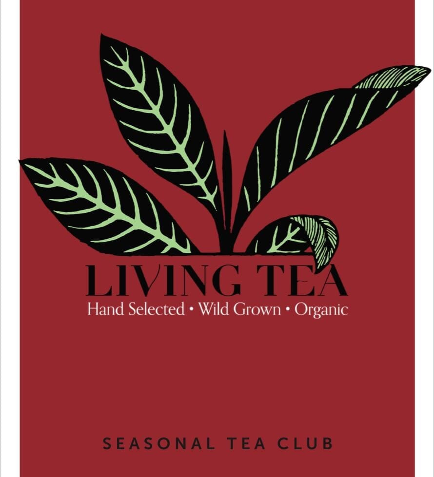 The Art of Life in Winter 2020