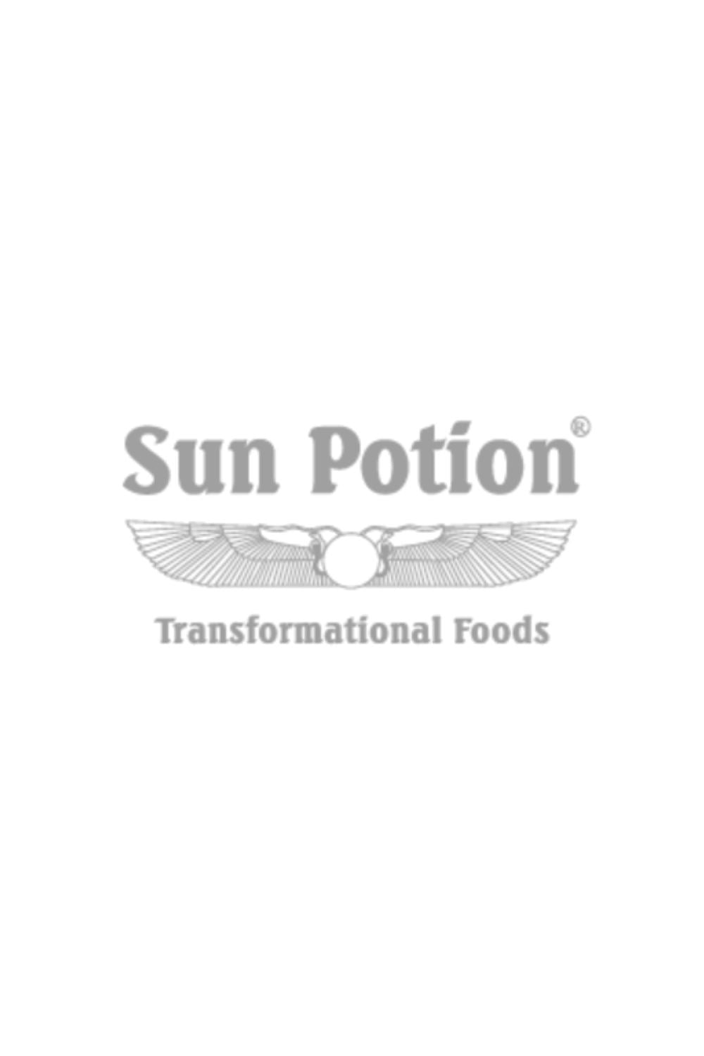 Sun Potion Journal Logo
