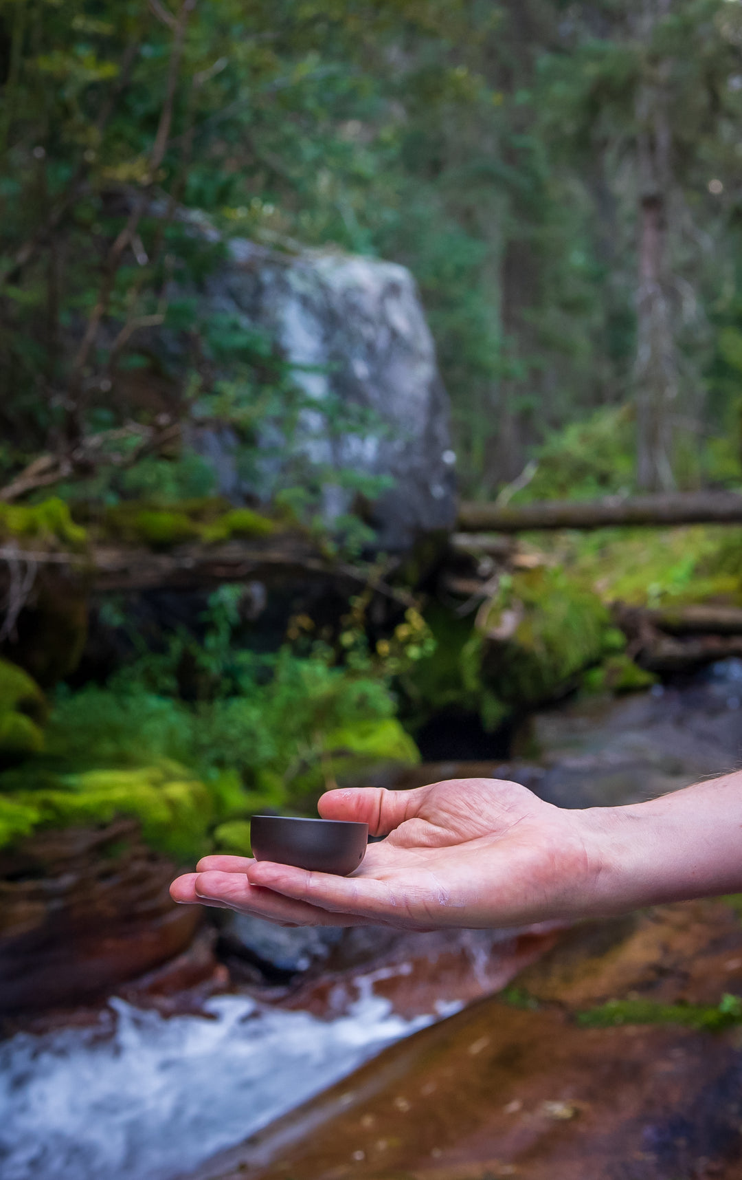 Why Tea – Living Tea