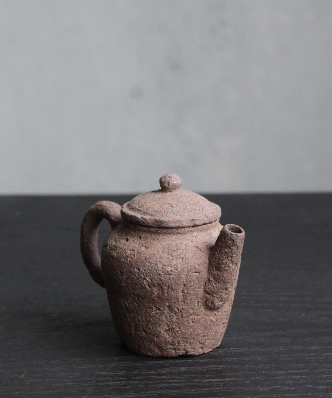 Foraged Clay Gongfu Teapot - 120mL