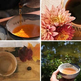 The 5 Elements and Tea